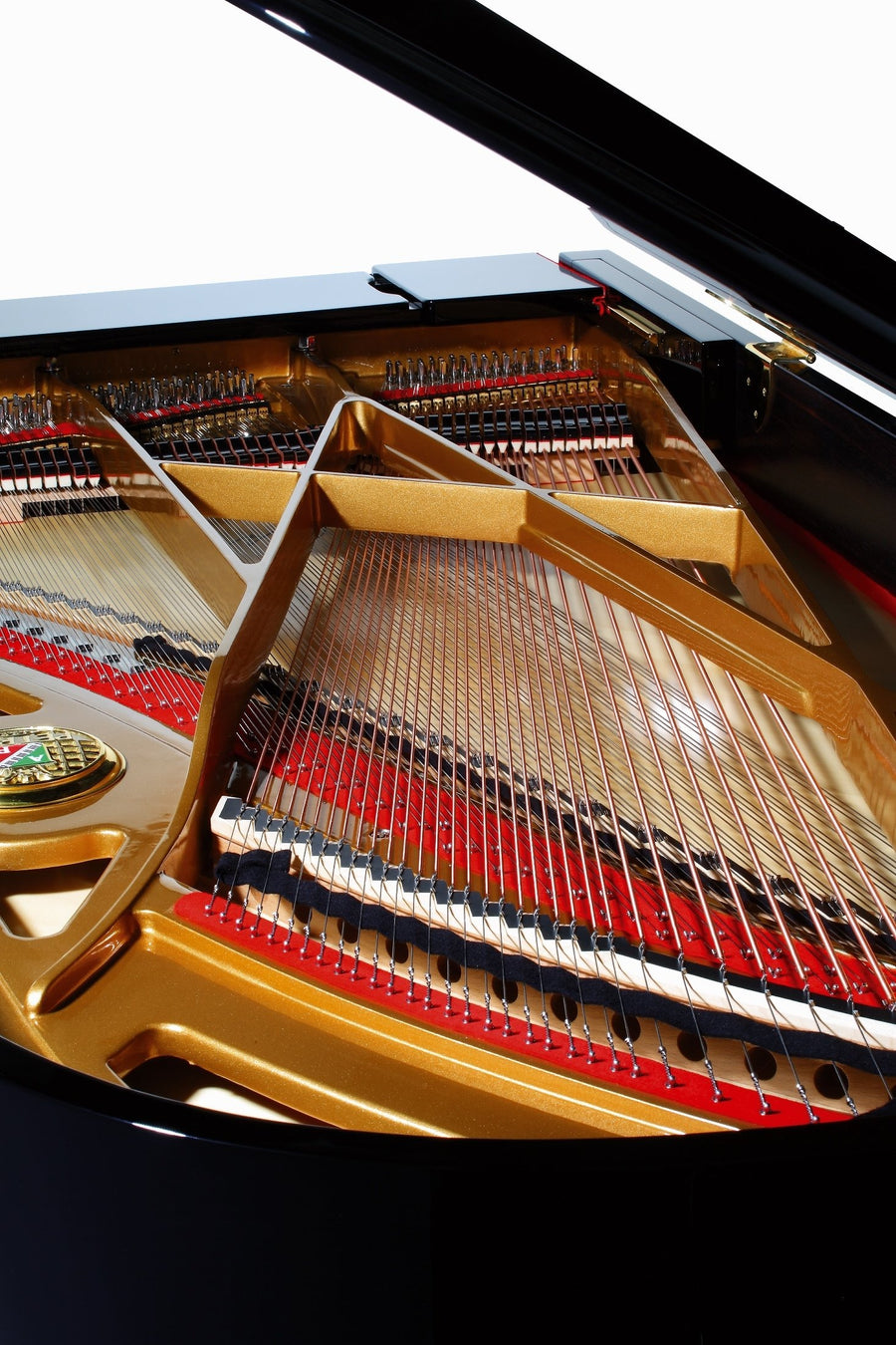Petrof Grand piano P 237 Monsoon - piano satışı - əlavə görünüş 3