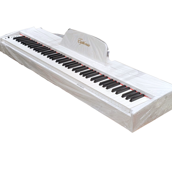 Euphonia SY-111 Portativ piano - Royal | Musiqi Alətləri mağazası