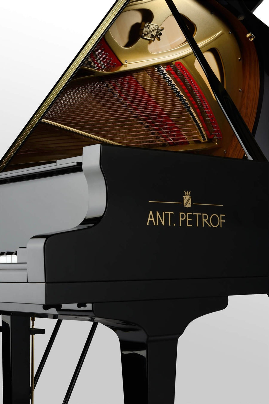 Petrof ANT. PETROF 225 Akustik royal - piano satışı - əlavə görünüş 4