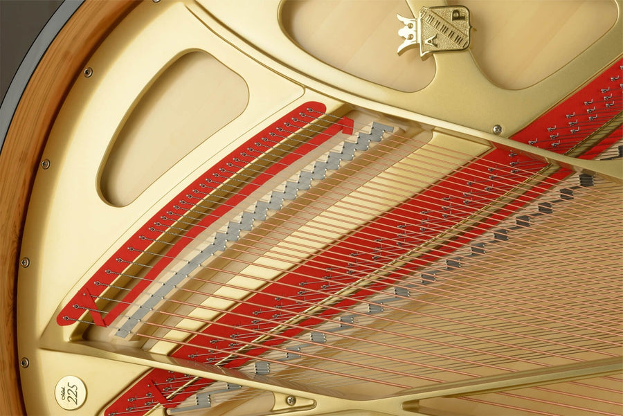 Petrof ANT. PETROF 225 Akustik royal - piano satışı - əlavə görünüş 3