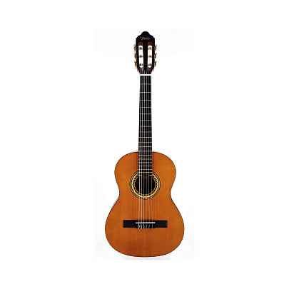 Valencia VC203 nat--Royal | Musiqi Alətləri mağazası-Valencia