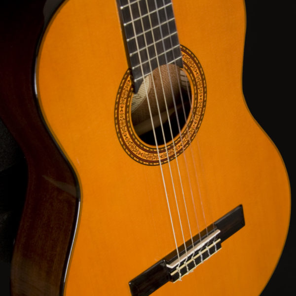Washburn Classical C5-WSH-A-U Classical Guitar - Royal | Musiqi Alətləri mağazası