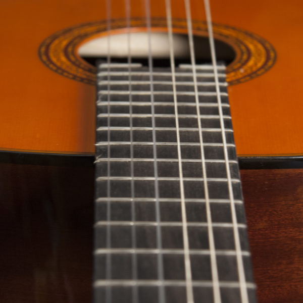 Washburn Classical C5-WSH-A-U Classical Guitar - Royal | Musiqi Alətləri mağazası