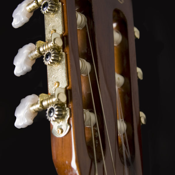 Washburn Classical C5-WSH-A-U Classical Guitar - Royal | Musiqi Alətləri mağazası