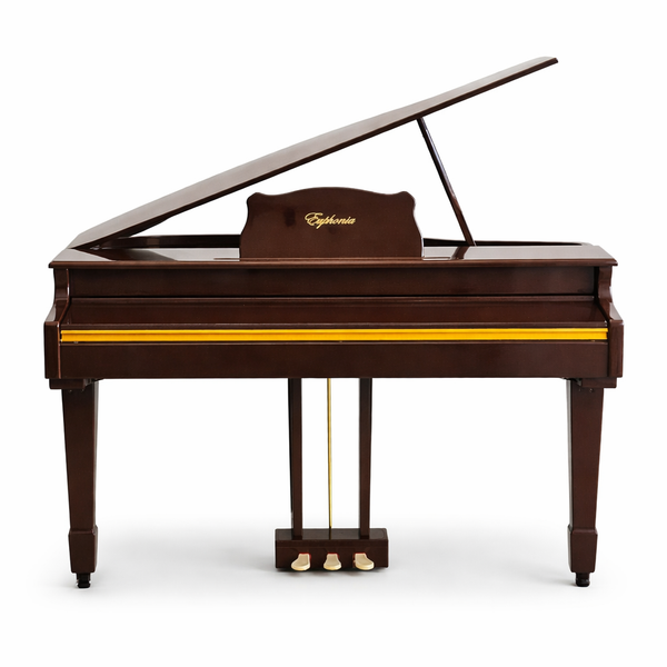 Euphonia SY-8880 Qəhvəyi