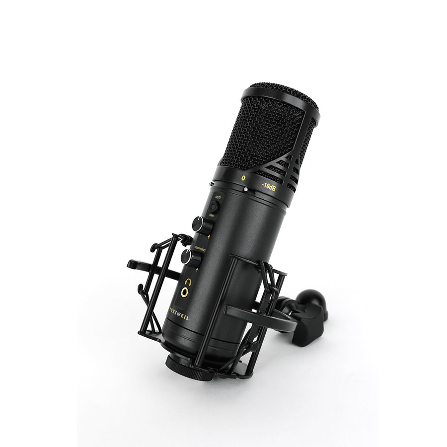 Kurzweil KM-2U Usb condenser Microphone - Royal | Musiqi Alətləri mağazası