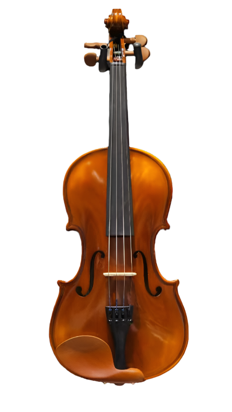 Pearl River V02 Skripka 4/4--Royal | Musiqi Alətləri mağazası-Pearl River