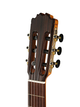 Martinez GS Rose elektro-klassik gitara — arxa görünüş