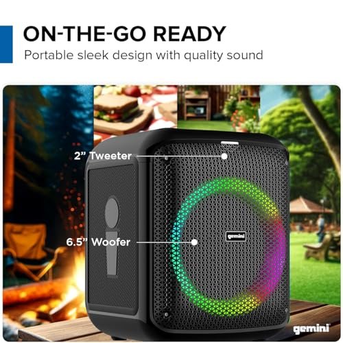 Gemini Sound GGO-650L Wireless Karaoke Speaker 100W LED