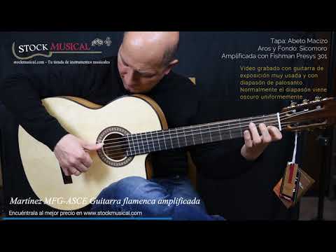 Martinez Almeria Artist AS Elektro-flamenko gitara video təqdimat