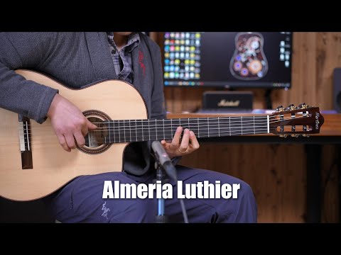 Martinez Almeria Luthier Rosewood Elektro-flamenko gitara video təqdimat