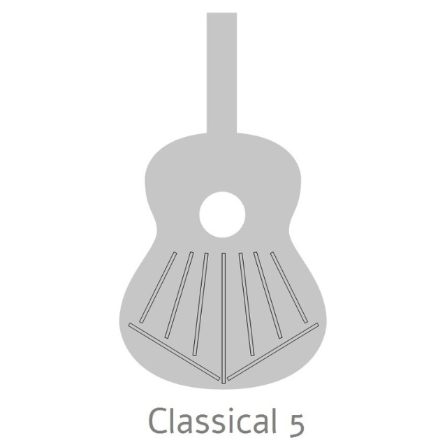 Alhambra 5 P CW E8 Elektro-Klassik Gitara
