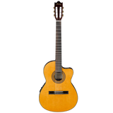 Ibanez GA5TCE Thinline AM