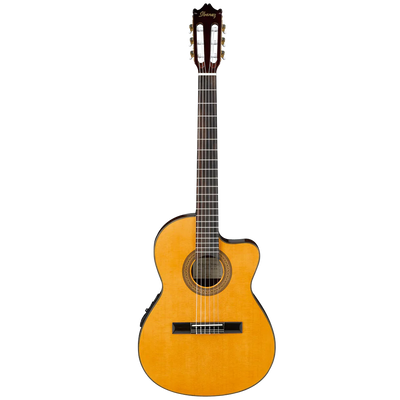 Ibanez GA5TCE Thinline AM