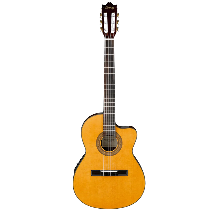 Ibanez GA5TCE Thinline AM - Royal | Musiqi Alətləri mağazası