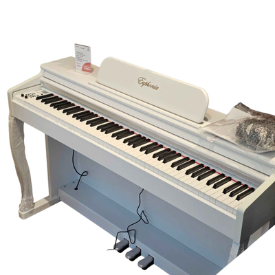 Euphonia SY-8801 Ağ mat