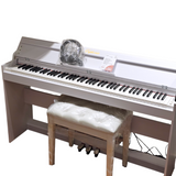 Euphonia SY-8820 Electric Piano