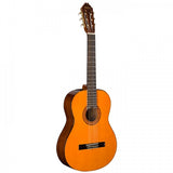 Washburn C5-WSH-A-U Classical Guitar