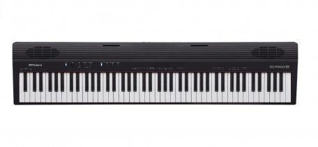 ROLAND PORTATIV GO-88P