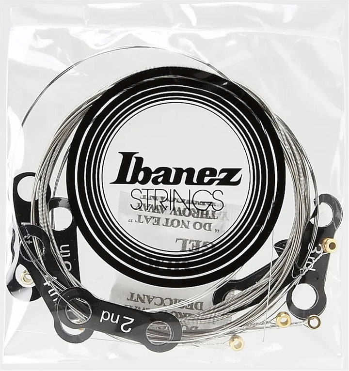 İbanez IEGS6 Electric Guitars Strings-Super Light Gauge - Royal | Musiqi Alətləri mağazası