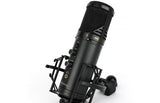 Kurzweil KM-2U USB Condenser Microphone