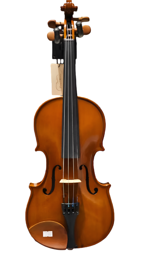 Pearl River V01  Skripka 4/4--Royal | Musiqi Alətləri mağazası-Pearl River
