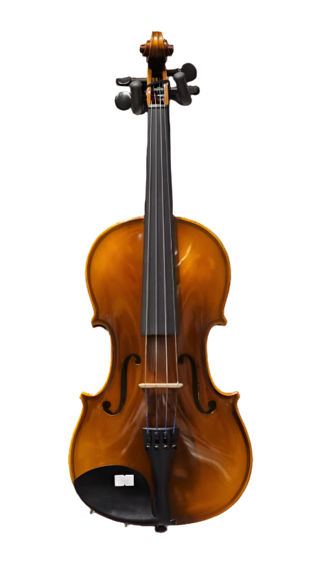 Pearl River V03E  Skripka 4/4--Royal | Musiqi Alətləri mağazası-Pearl River