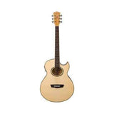 Washburn EA20-A-U