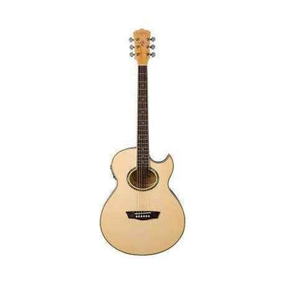 Washburn EA20-A-U