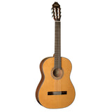Washburn C40