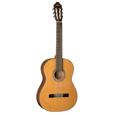 Washburn C40