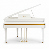 Euphonia SY-8880 Ag
