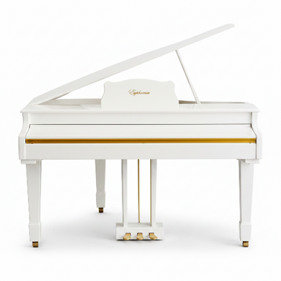 Euphonia SY-8880 Ag