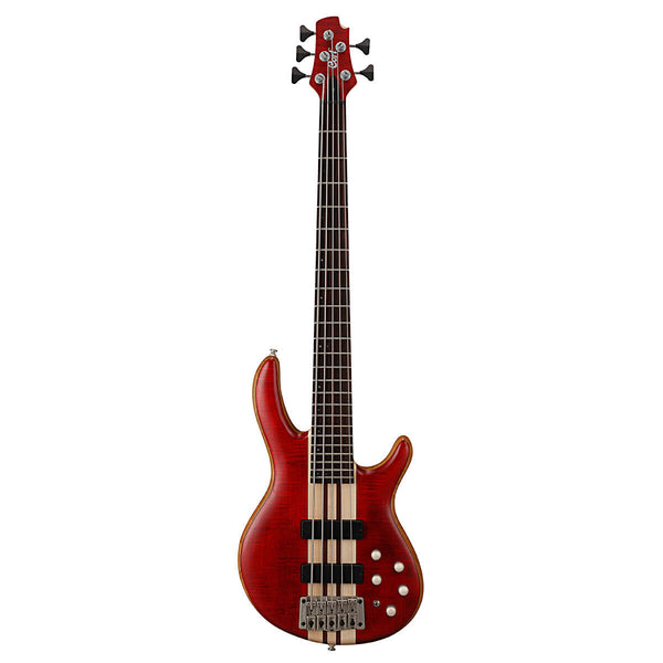 Cort A5 Plus Open Pore Black Cherry