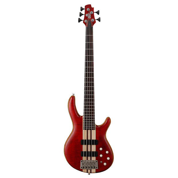 Cort A5 Plus Open Pore Black Cherry