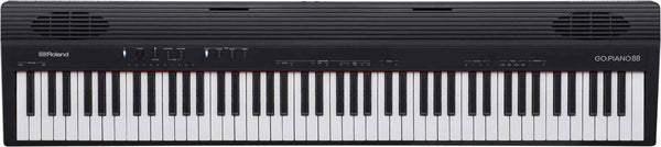 ROLAND PORTATIV GO-88P