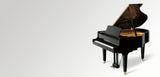 Kawai GL-30 Akustik royal