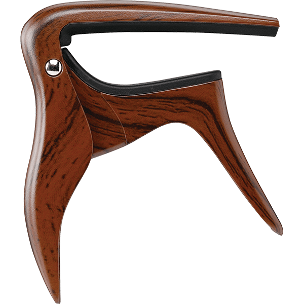 İbanez IGC10W CAPO Acoustic and Electric Guitar - Royal | Musiqi Alətləri mağazası