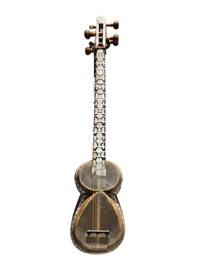 Tar sədəfli Tut ağacı N1