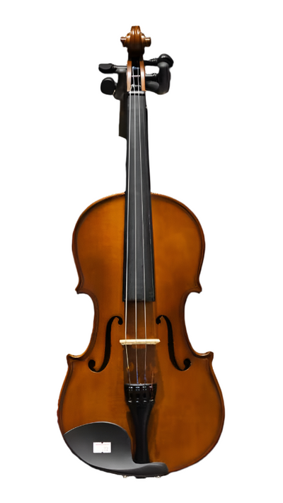 Carlovy VLA6 Skripka 4/4