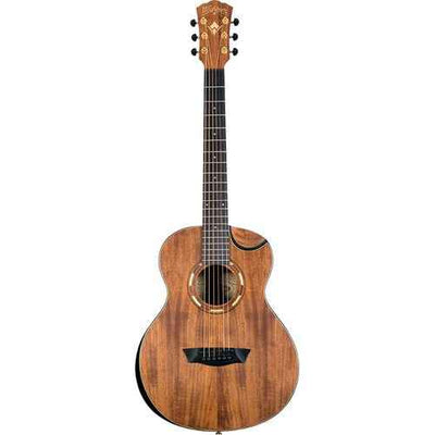 Washburn WGCGM55K-DU