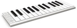 Esi Xkey 25